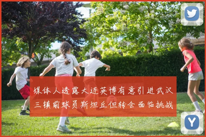 媒体人透露大连英博有意引进武汉三镇前球员斯坦丘但转会面临挑战