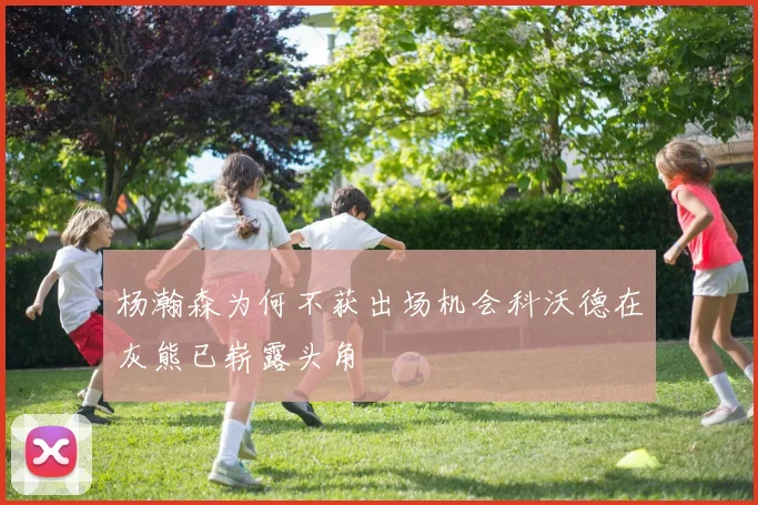 杨瀚森为何不获出场机会科沃德在灰熊已崭露头角