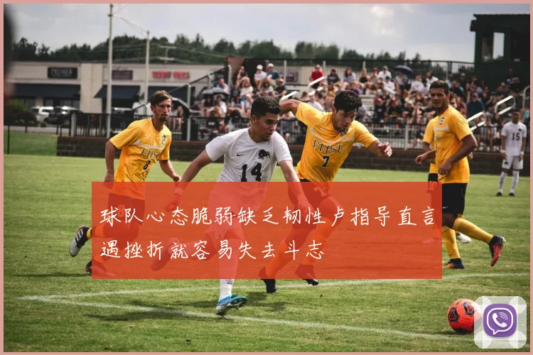 球队心态脆弱缺乏韧性卢指导直言遇挫折就容易失去斗志